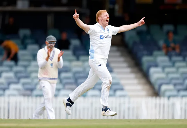 Hatcher Leads NSW Fightback After McAndrew, Doggett Dismantle Batting Line-up