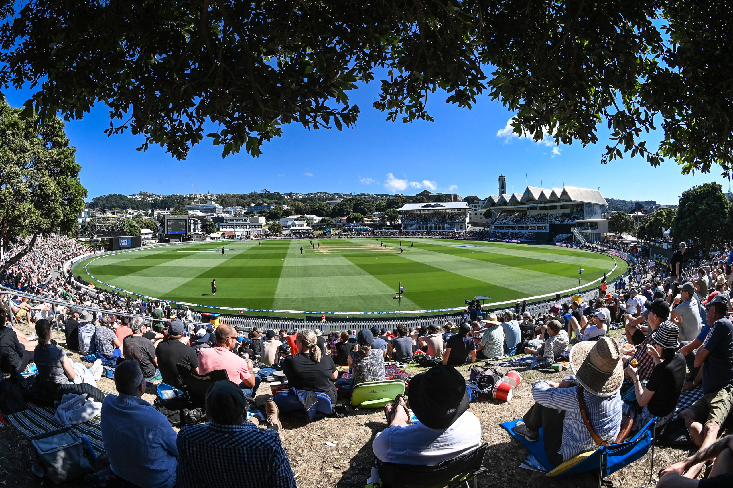 Basin Reserve