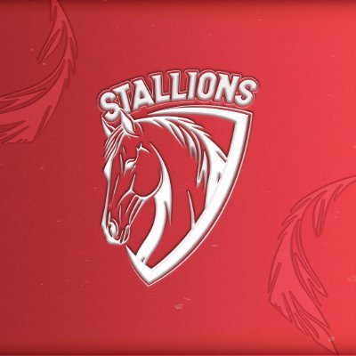 Pak-Stallions