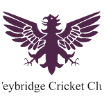 cricket-logo