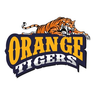 cricket-logo