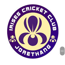 cricket-logo