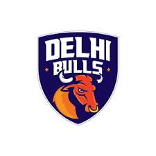 Delhi Bulls